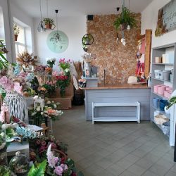Kwiaciarnia Kwiatostan Agnieszka Gabruś (Ełk )