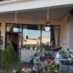 Kwiaciarnia Kwiatowe Love (Sokołów Podlaski )