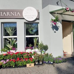 Kwiaciarnia Kwiatowy Kącik Renata Otawa (Wodzisław Śląski )