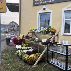 Kwiaciarnia Kwiatowy Zakątek (Okonek en Merlo San Luis)