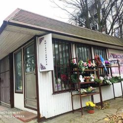 Kwiaciarnia Kwiatuszek MaŁgorzata Niemczyk (Katowice )