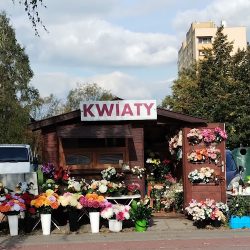 Kwiaciarnia