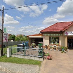 Kwiaciarnia Kwiaty Na Każdą Okazję (Jaworzno )