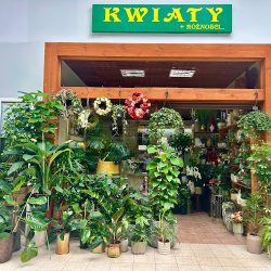 Kwiaciarnia „kwiaty + Różności” (Jelenia Góra )