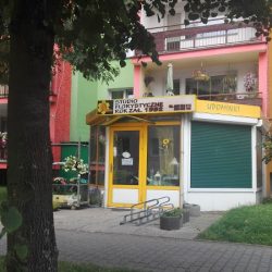 Kwiaciarnia Kwiaty U Agaty (Wołczyn en Merlo San Luis)