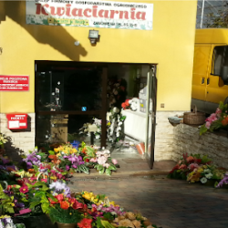 Kwiaciarnia Kwiaty U Beaty (Rudzica )