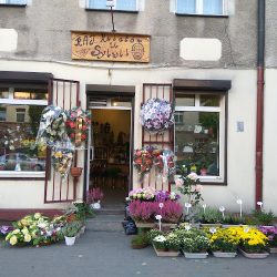Kwiaciarnia Kwiaty U Sylwii (Tczew )