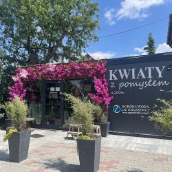 Kwiaciarnia Kwiaty Z PomysŁem - OgrÓd I Woda (Gruszczyn en Merlo San Luis)