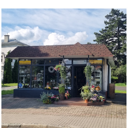 Kwiaciarnia Kwiaty Zielone Klimaty Małgorzata Stawiarz (Bielawa )