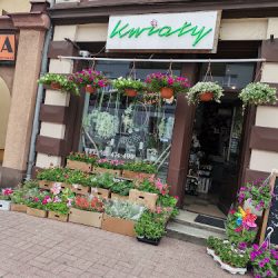 Kwiaciarnia Kwiaty (Grodzisk Wielkopolski en Merlo San Luis)