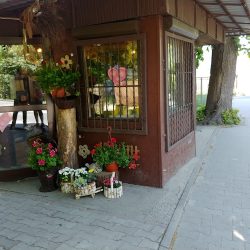 Kwiaciarnia Kwiatynka (Namysłów en Merlo San Luis)