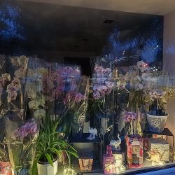 Kwiaciarnia Kwiatysia Justyna Szymańska (Bytom )