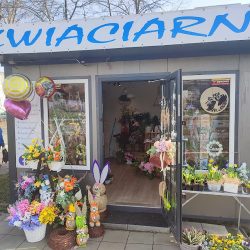 Kwiaciarnia Kwitnący Zakątek Monika Wagner (Mikołów )