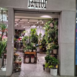 Kwiaciarnia La Flor (Kraków )