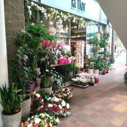 Kwiaciarnia La Flor ( Galeria Sfera ) (Bielsko-Biała )