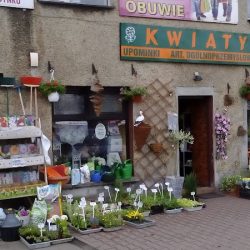 Kwiaciarnia Laskowska GoŁkowice (Gołkowice )