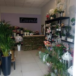 Kwiaciarnia Lawenda (Budzów )