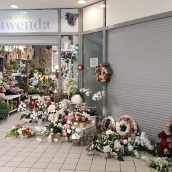 Kwiaciarnia Lawenda (Bełchatów )