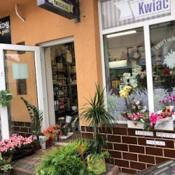Kwiaciarnia Lawenda (Dębica )