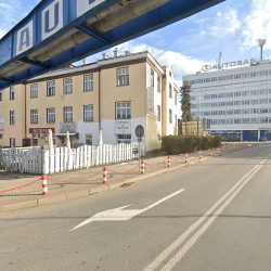 Kwiaciarnia Lawenda Elżbieta Janusz (Sanok )