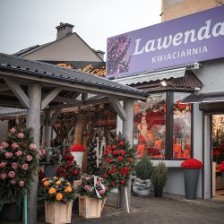 Kwiaciarnia Lawenda Kwiaty Na Dowóz Dekoracje ślubne (Radom )