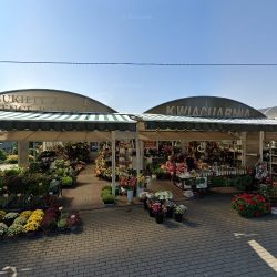 Kwiaciarnia Lawenda (Kalisz )