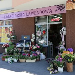 Kwiaciarnia Lawendowa (Koziegłowy en Merlo San Luis)