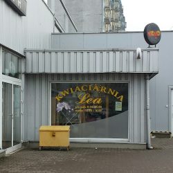 Kwiaciarnia Lea (Gorzów Wielkopolski )