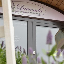 Kwiaciarnia Lębork Lawenda Kwiatomat 24 H (Lębork )