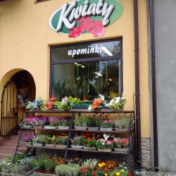 Kwiaciarnia Lelów (Lelów )