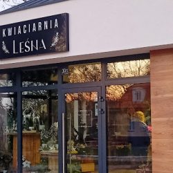 Kwiaciarnia Leśna (Przygodzice en Merlo San Luis)