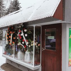 Kwiaciarnia Lewkonia (Biała Podlaska )
