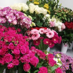 Kwiaciarnia Lili Flowers (Marki )