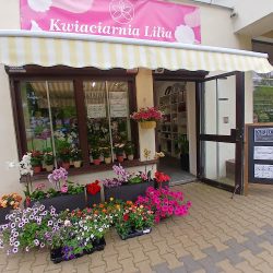 Kwiaciarnia Lilia (Lublin )