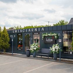 Kwiaciarnia Lilia (Myszków )