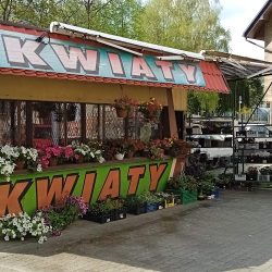 Kwiaciarnia Lilia Aneta Rapacz (Rabka-Zdrój )