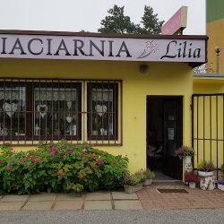 Kwiaciarnia Lilia Beata Zyblewska (Toruń )