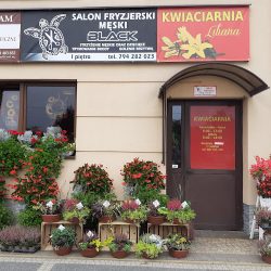 Kwiaciarnia Liliana (Radymno )