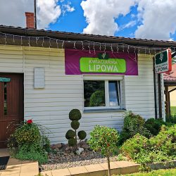 Kwiaciarnia Lipowa (Włocławek )