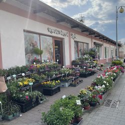 Kwiaciarnia Livia (Głogów )