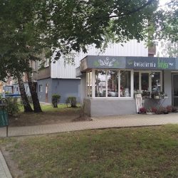 Kwiaciarnia Łodyga (Siemianowice Śląskie )