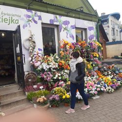 Kwiaciarnia Maciejka (Sokółka )