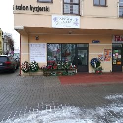 Kwiaciarnia Maciejka Lubartów (Lubartów en Merlo San Luis)
