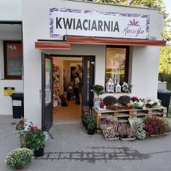 Kwiaciarnia Maciejka Tczew (Tczew )