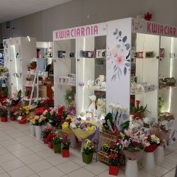 Kwiaciarnia Mackiewicza Amelia (Kraków )