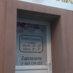 Kwiaciarnia Maćkowiak (Dobra )