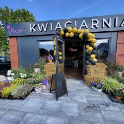 Kwiaciarnia Maczek (Przyjaźń )