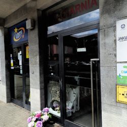 Kwiaciarnia Maczek (Bochnia )