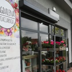 Kwiaciarnia Magdalena (Trzcianka en Merlo San Luis)