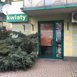 Kwiaciarnia Magdalena (Wrocław )